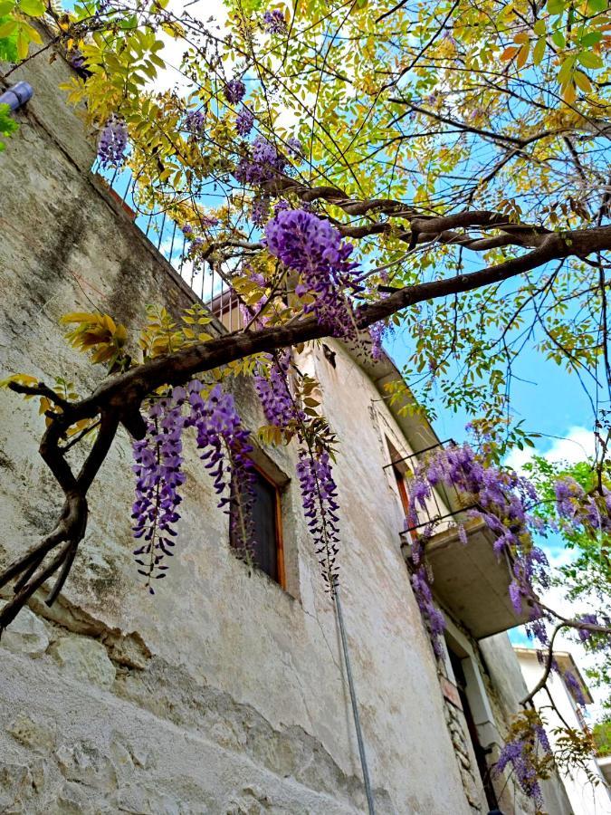 منزل الضيف Palombaro  في Ai Limiti • 67 • Stonehouse المظهر الخارجي الصورة